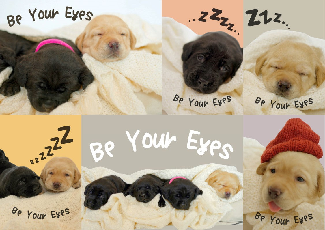 Be Your Eyes 導盲犬BB A4 文件夾一套6款 (A款)