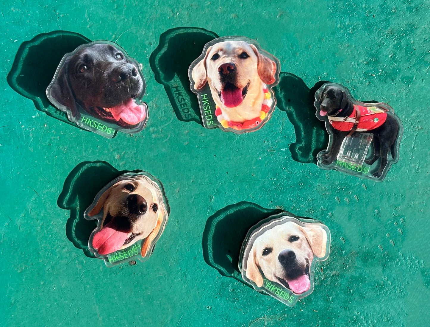 可愛導盲犬文件夾一套五個