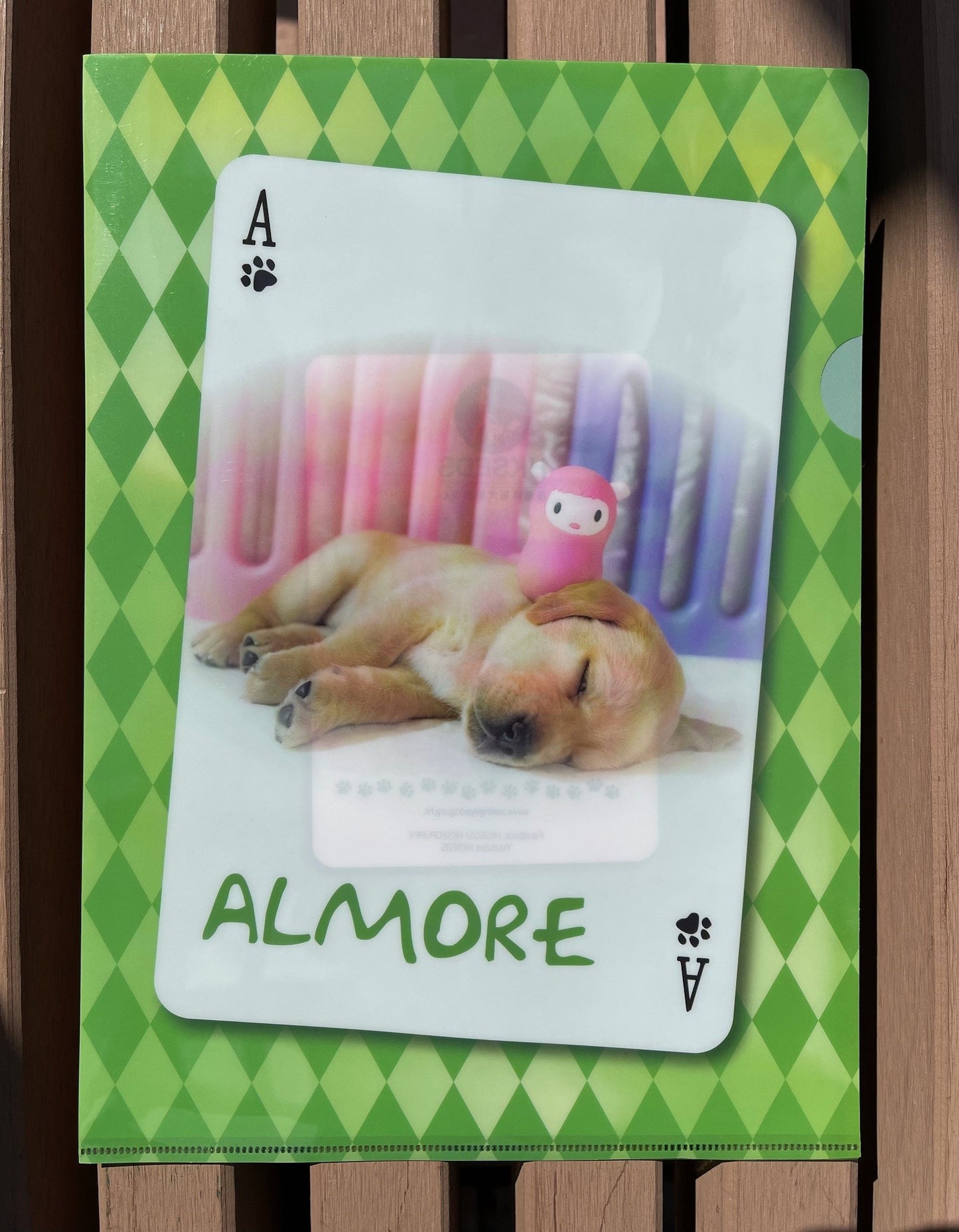 導盲犬文件夾Seeing Eye Dog Folder