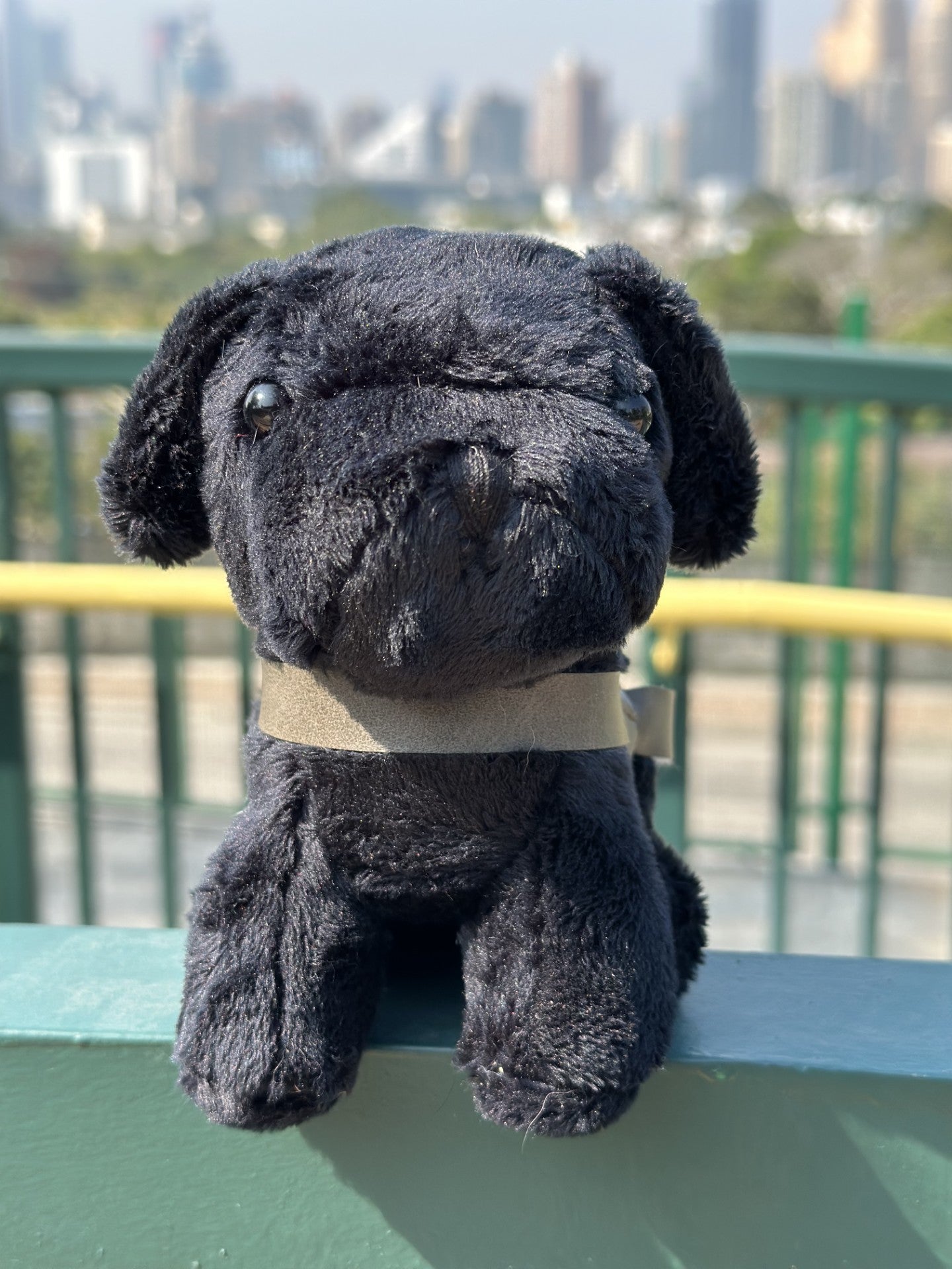 全新推出導盲犬15 cm公仔 - 黑色