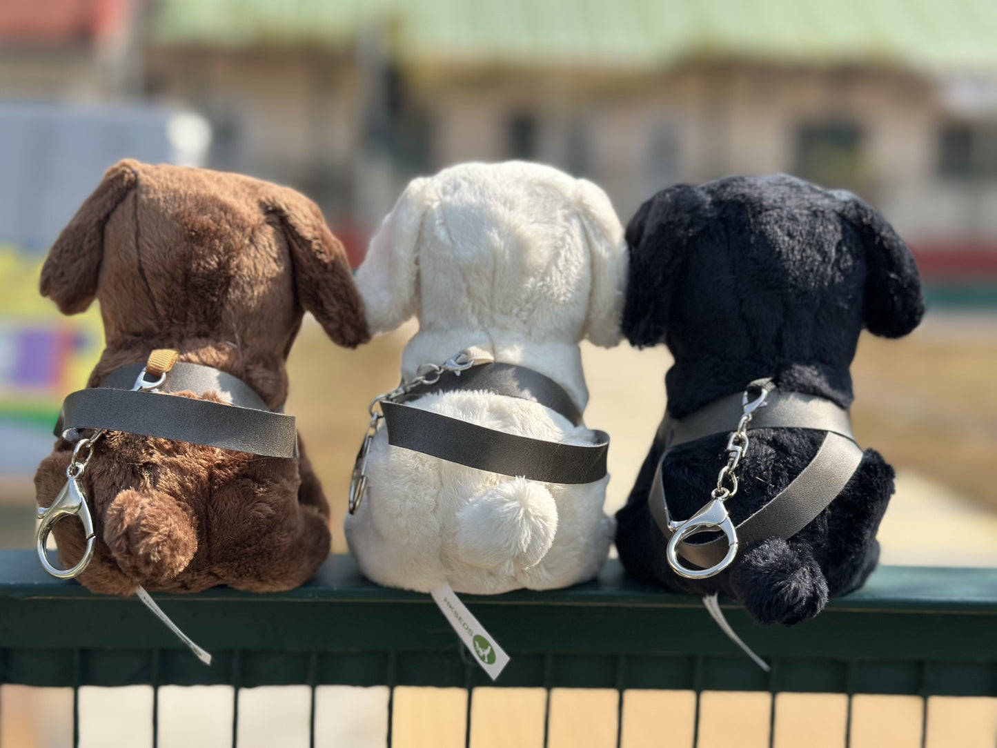 全新推出導盲犬15 cm公仔 - 奶白色
