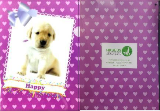 導盲犬文件夾 Seeing Eye Dog Folder