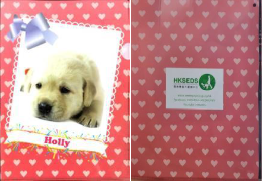 導盲犬文件夾 Seeing Eye Dog Folder