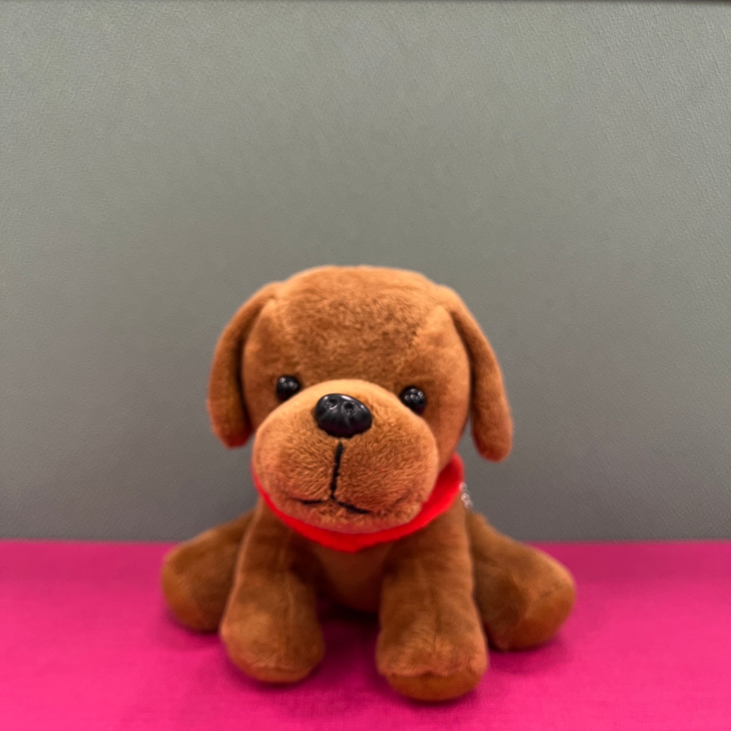 導盲犬公仔 Seeing Eye Dog Dolls