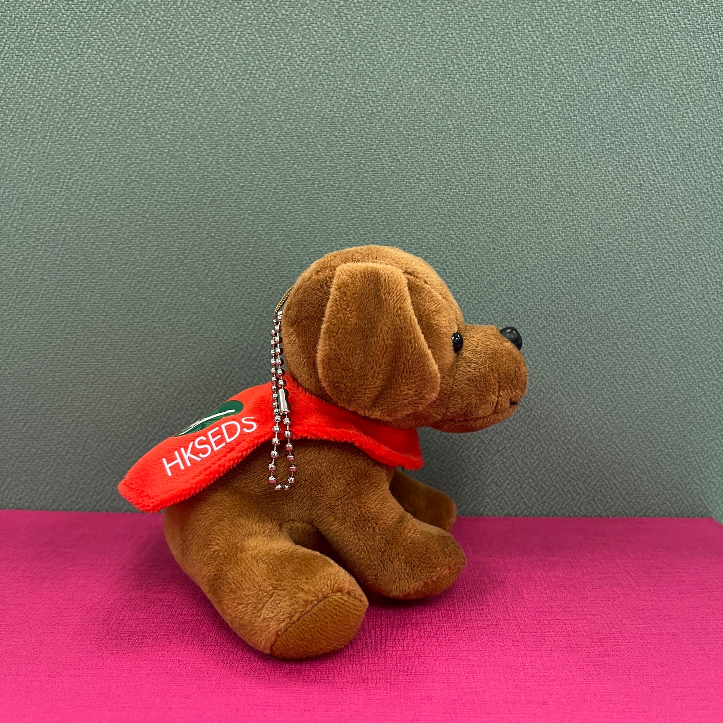導盲犬公仔 Seeing Eye Dog Dolls