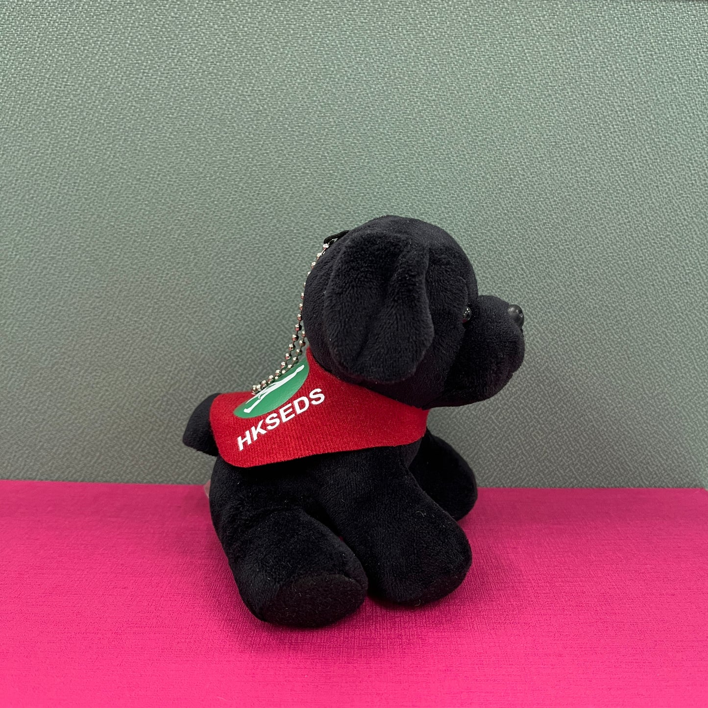 導盲犬公仔 Seeing Eye Dog Dolls